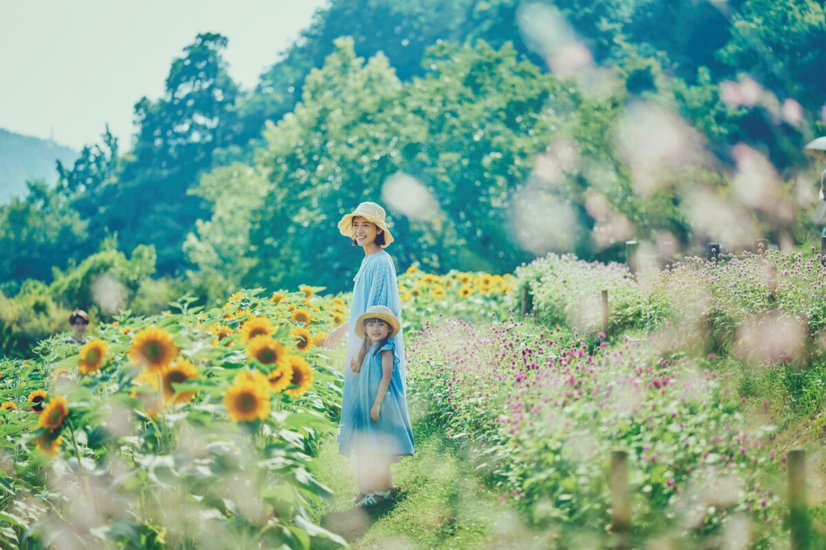 ひまわり畑の中で夏の思い出