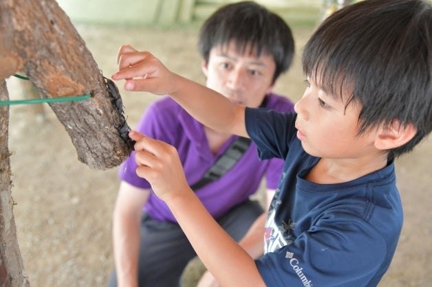 子どもと大人がオオクワガタ採りを体験する様子