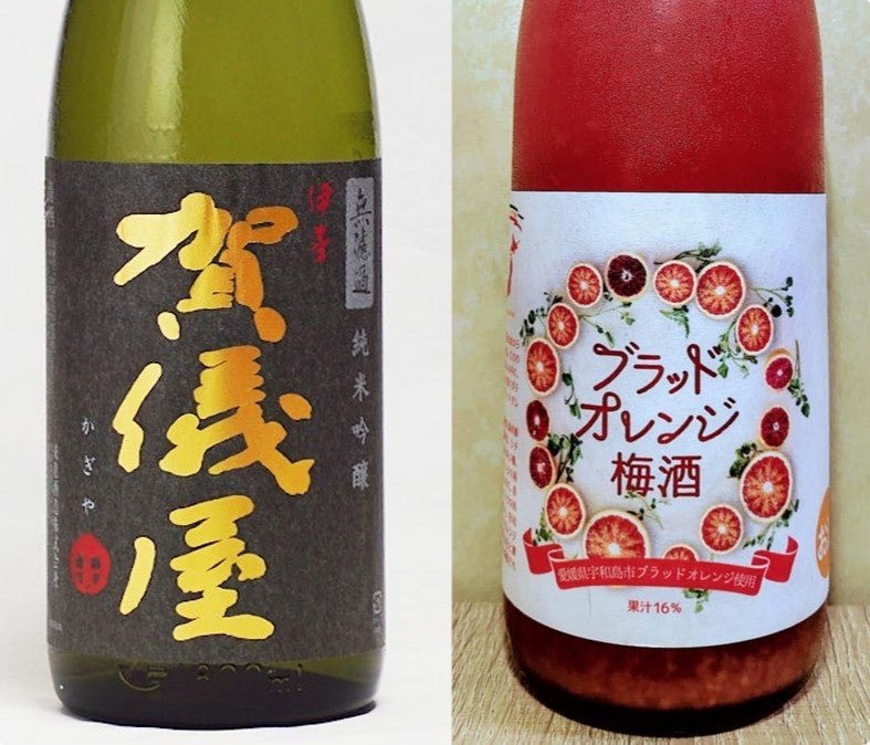 愛媛 ZENバーの日本酒とブラッドオレンジ梅酒