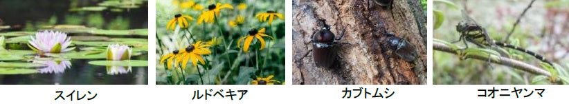風鈴展示の案内バナー