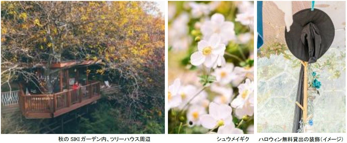 SIKIガーデン~音の散策路~の紅葉