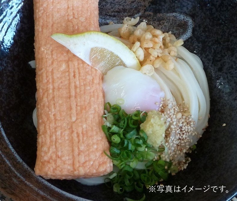 香川 日の出製麺所のさぬき銘産えびすり身天うどん