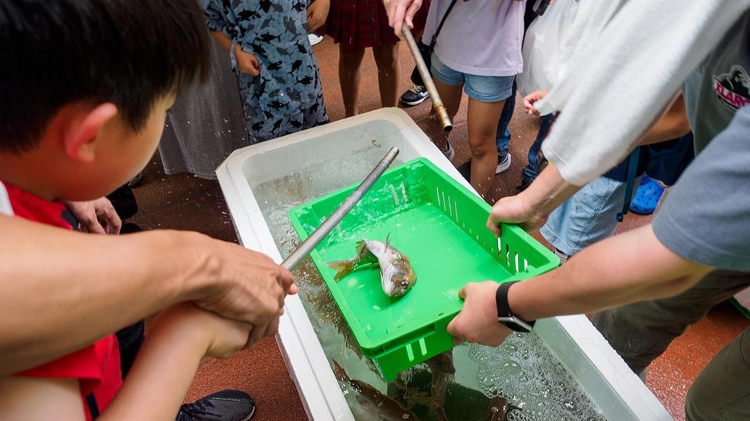 垂水商店街 夏まつり 縁日