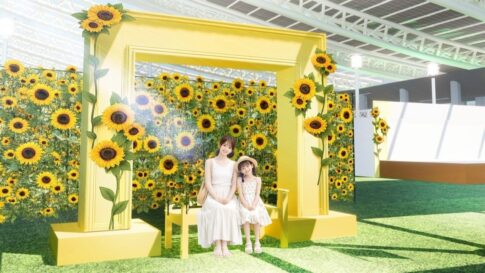大阪駅 大阪ステーションシティ 大阪 夏祭り