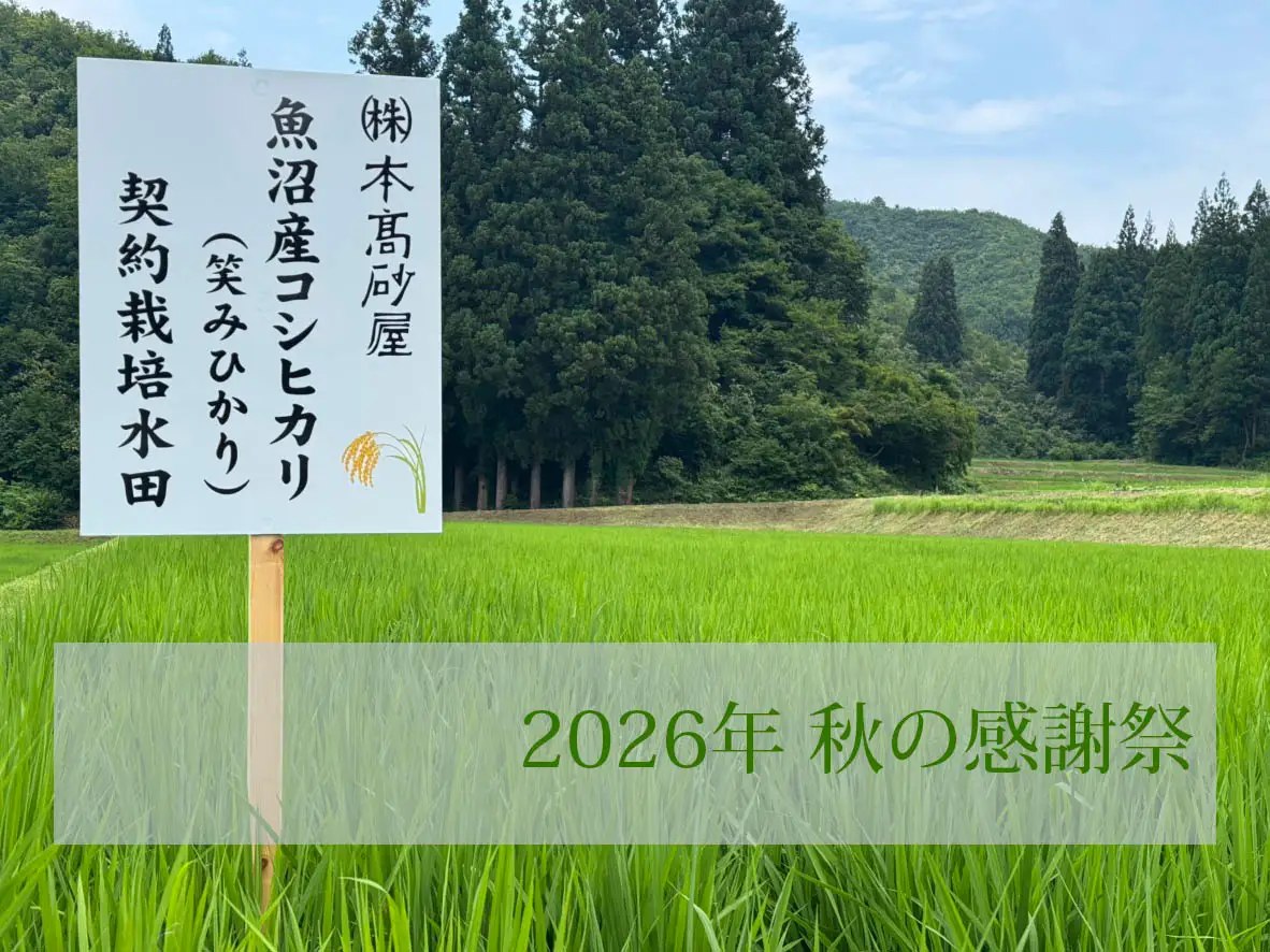 本髙砂屋 2026年 秋の感謝祭のメインビジュアル