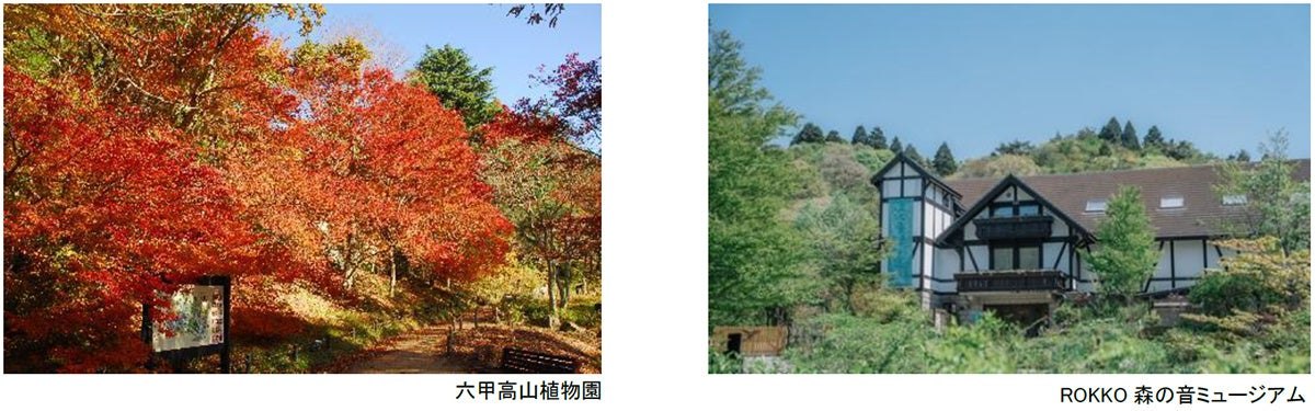 六甲高山植物園の紅葉とROKKO森の音ミュージアムの外観