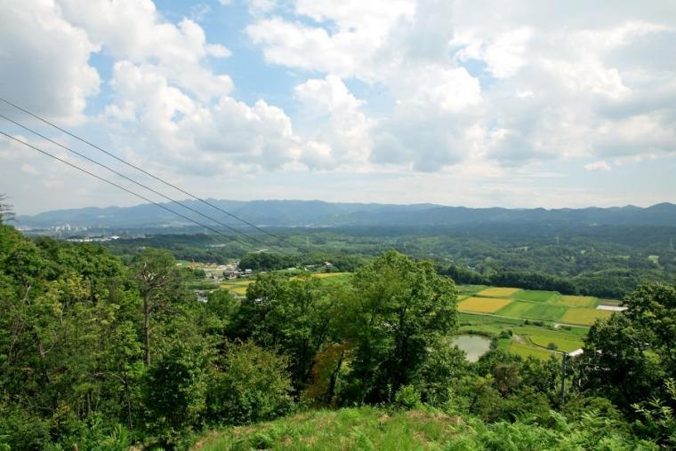 神戸市北区の棚田と里山が広がる眺め