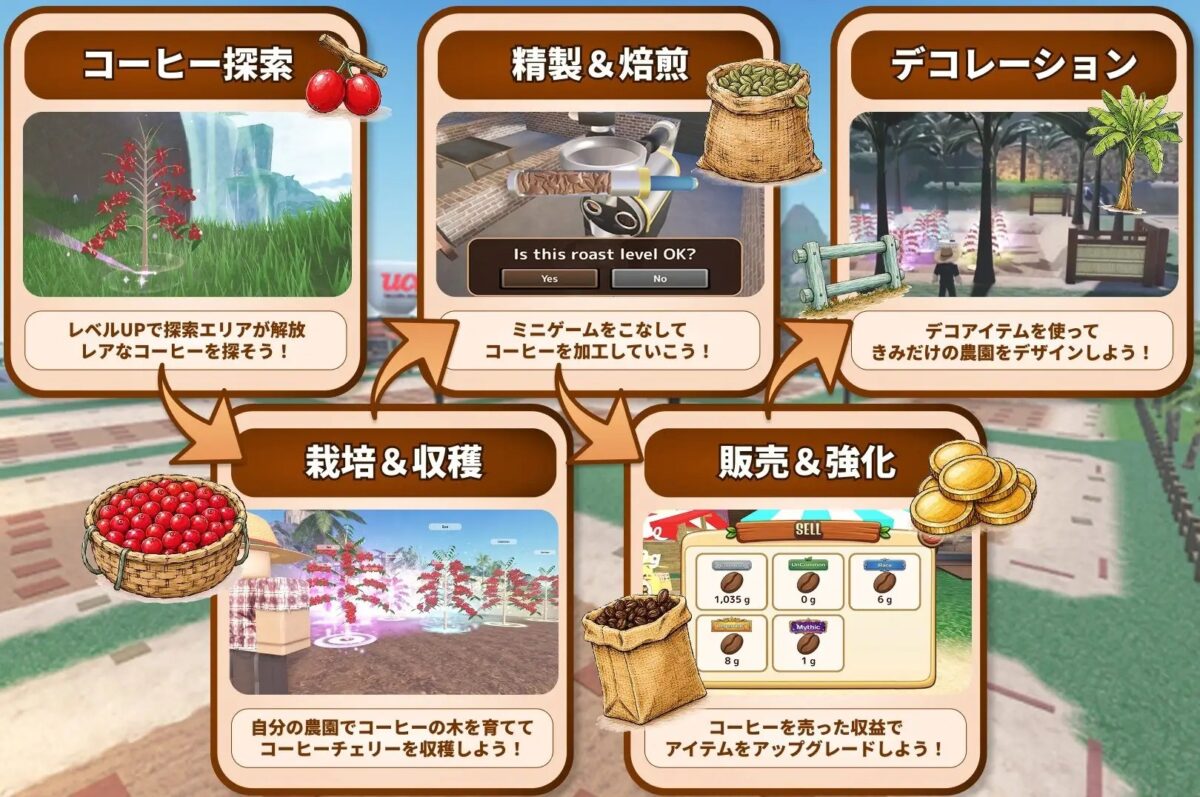 コーヒー探索から販売、デコレーションまでのゲームのコアサイクル
