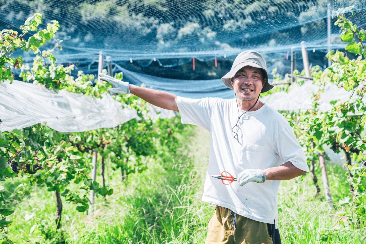 葡萄畑に立つオーナーの宮本健司さん
