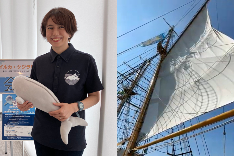 スナメリフェスティバル 神戸港 体験 神戸