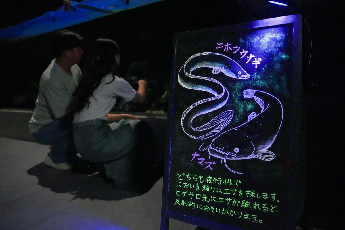 暗闇で光る飼育員手書きの解説ボード