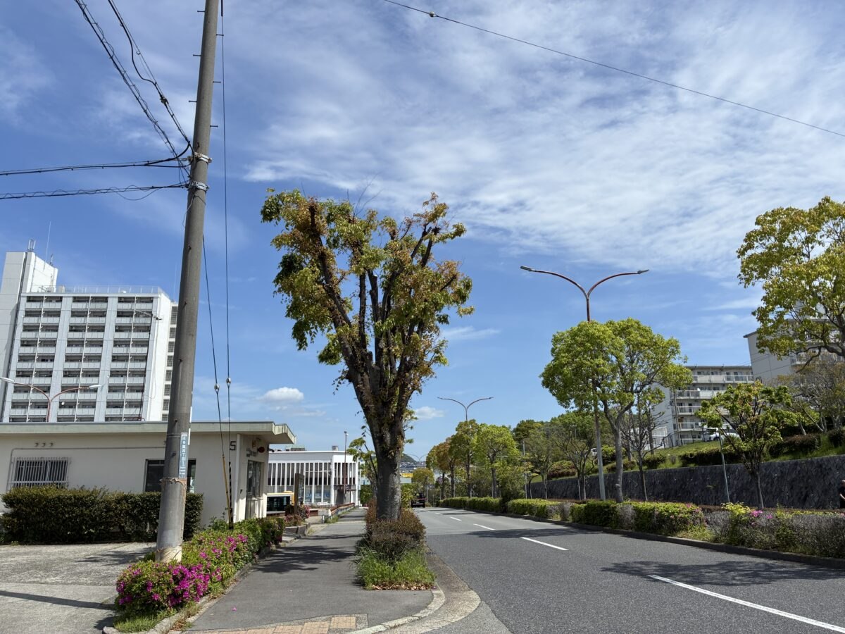 新多聞センター街の近くにある舞子高校前回転地用地