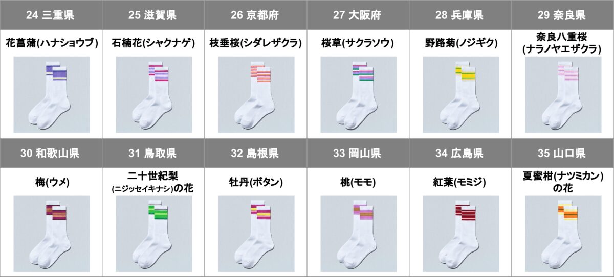 近畿・中国地方の47都道府県別ラインソックス一覧