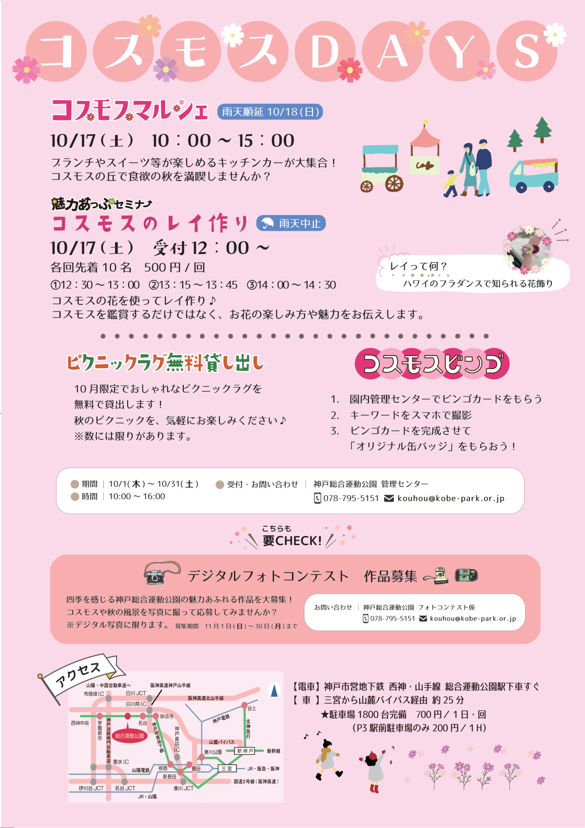 コスモスDAYSのチラシ