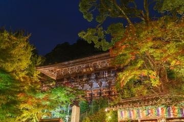 ライトアップされた摩尼殿と紅葉