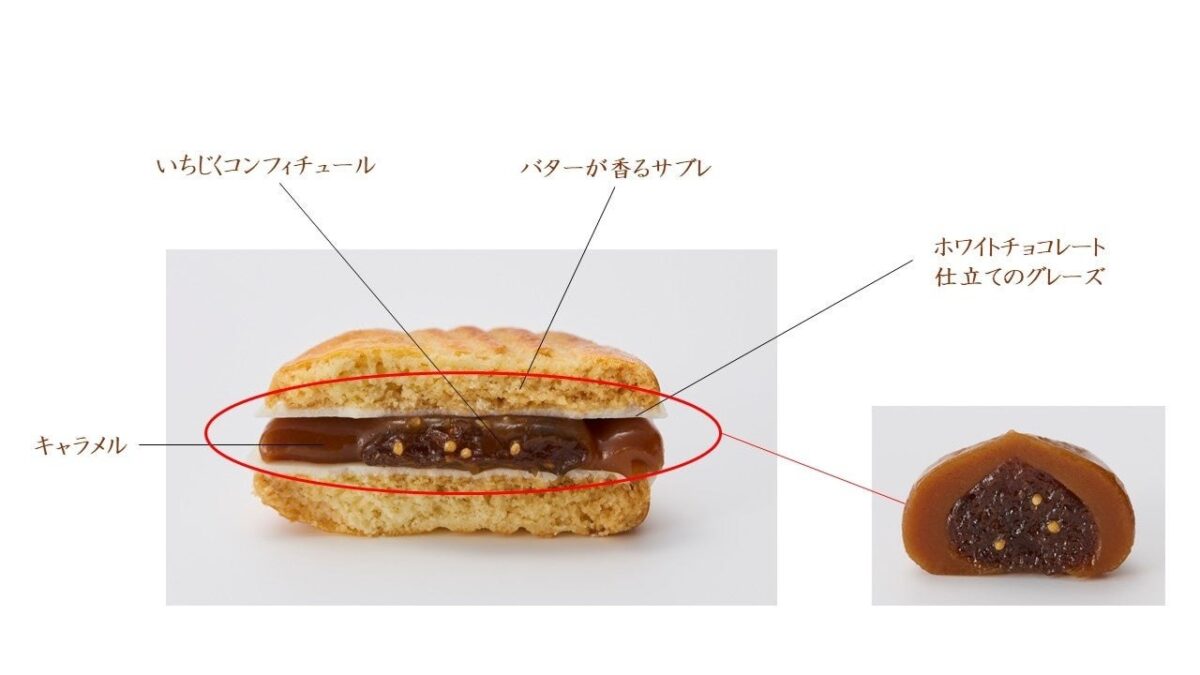 ボンフィグの断面