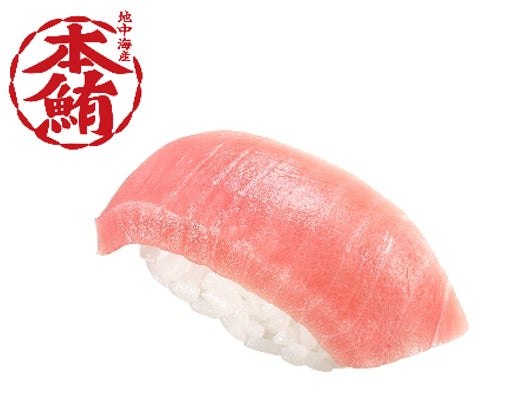 本鮪中とろ