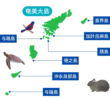 奄美群島の地図