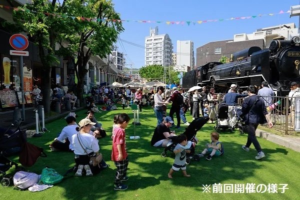 芝生が敷かれたD51前道路の様子