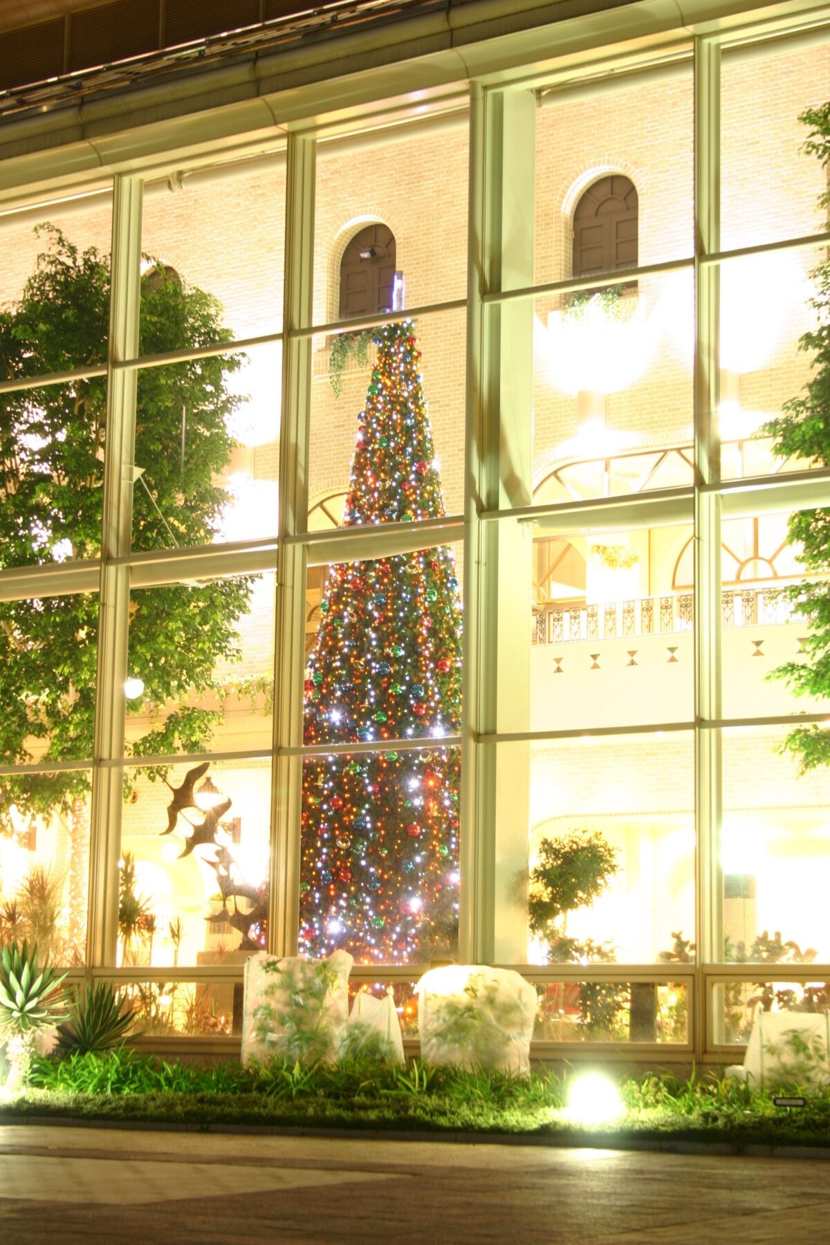 ガラス越しに見えるオアシス館のクリスマスツリー