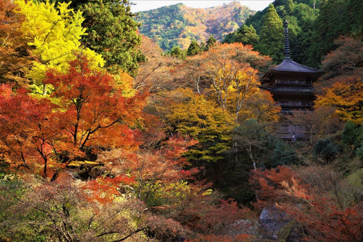 高源寺の紅葉