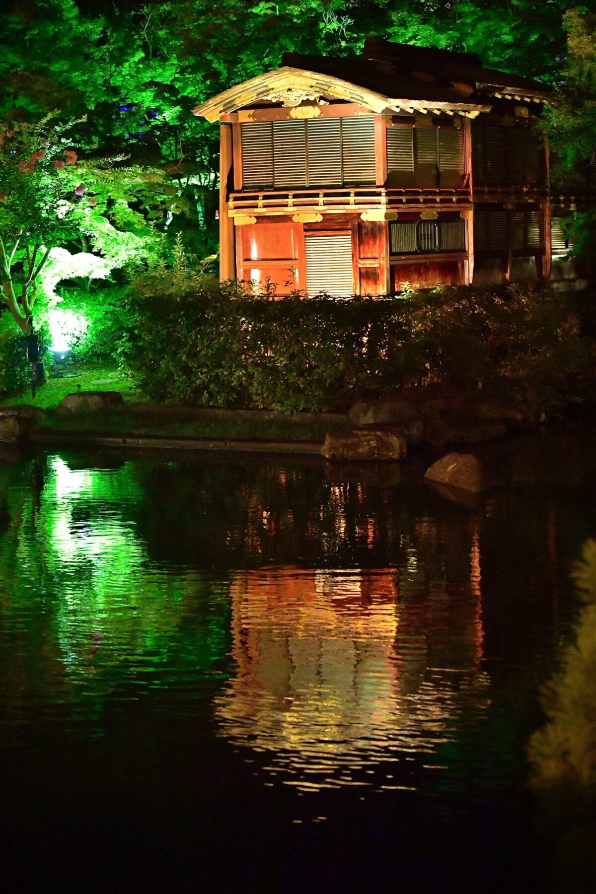ライトアップされた木々と池に映る建物