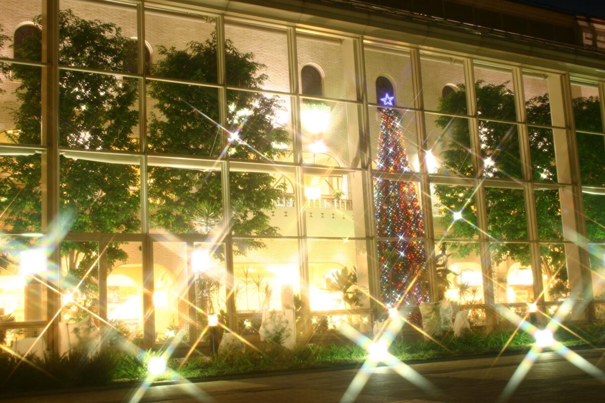 夜のオアシス館の外から見たクリスマスツリー