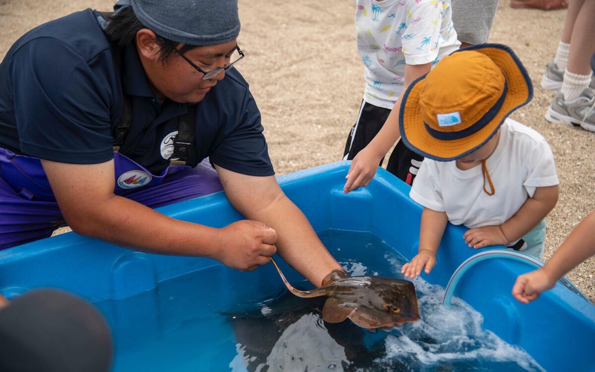 おさかなタッチプールで魚に触れる子ども