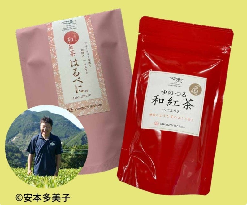 お茶の坂口園の和紅茶