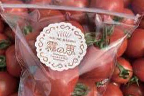 ソネックのミディトマト「霧の恵」