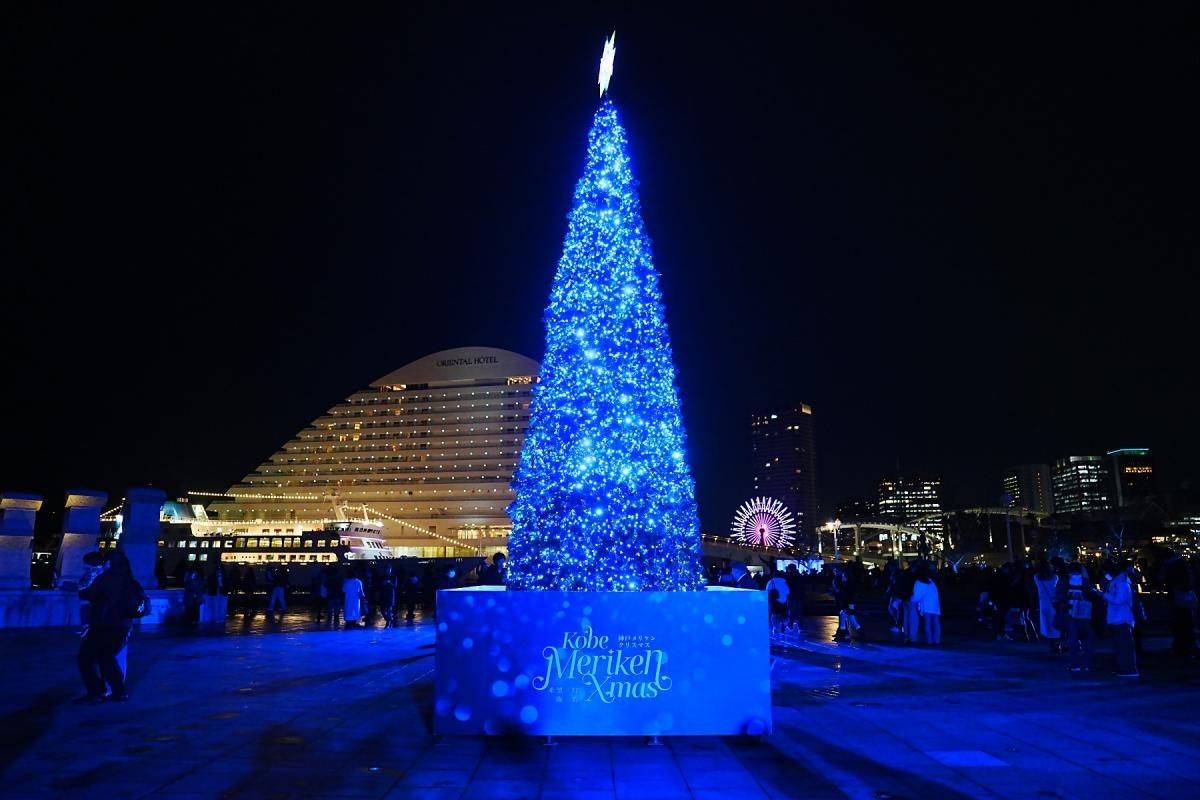 メリケンパークのクリスマスツリー