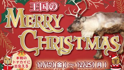 神戸どうぶつ王国 クリスマス トナカイ