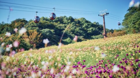 GARDEN FEST 2023 -Autumn- 神戸布引ハーブ園 ガーデンフェスト