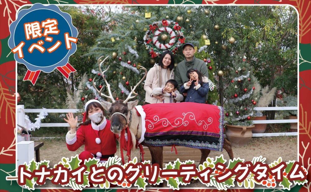 神戸どうぶつ王国 クリスマス トナカイ