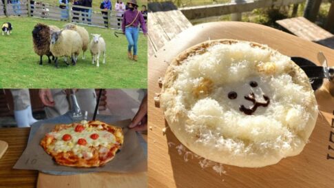 チーズフェスティバル 六甲山牧場